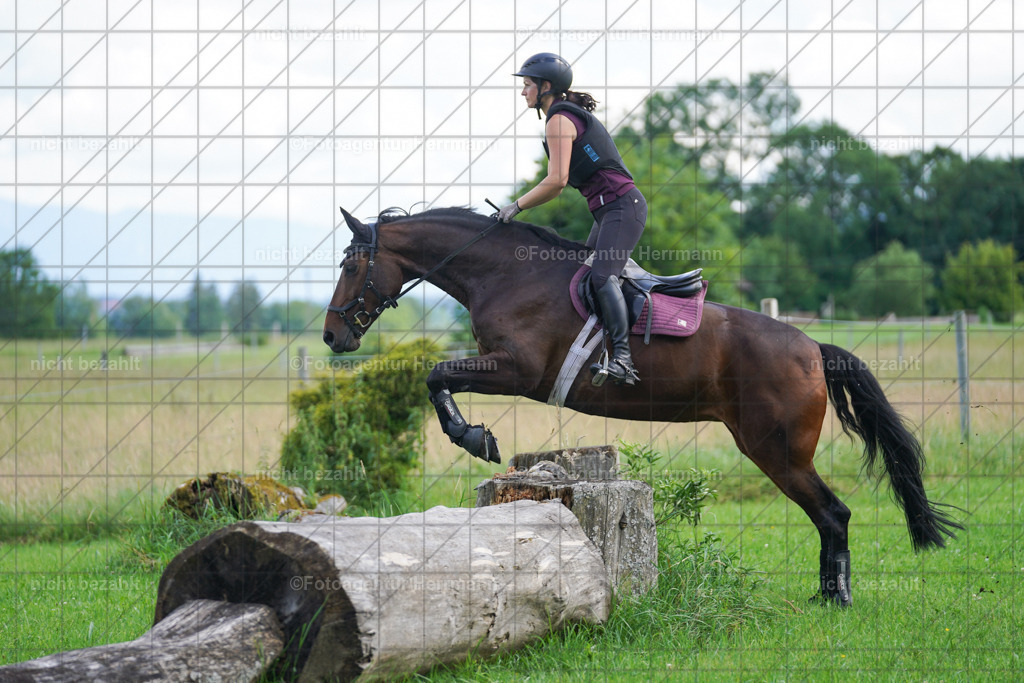 20240622-FAH07706 | Turnierfotografen Bayern, Reitsportbilder aus dem Geländekurs mit Felix Etzel auf dem Gut Waitzacker 2024