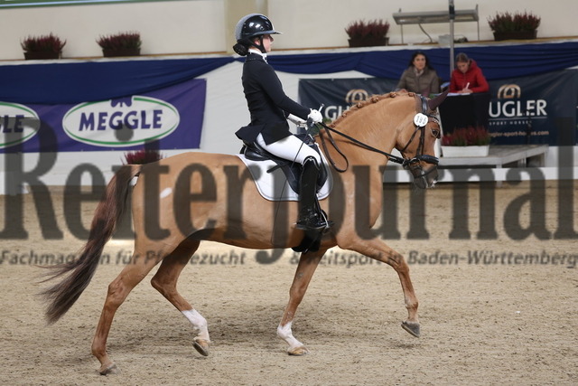 Ising_2025_Prfg.Nr.20_Pony-Dressurprfg.Kl.L_Kür_Lakeysha Eiselt_Crown Wishing Well (7) | Alle Fotos der Reiterjournal Fotografin Doris Matthaes im Reiterjournal Online-Fotoshop. - Realisiert mit Pictrs.com