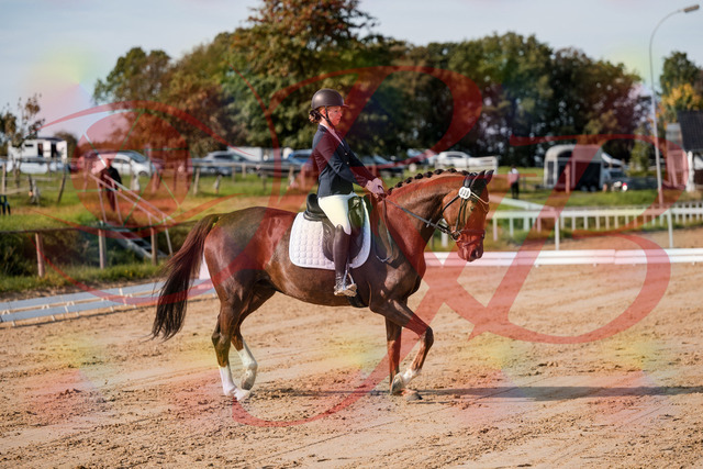 2026_10_03_Siefer-Hof_114721_Z63_25874843 | Professionelle Reitsport-, Turnier- und Eventfotografie von Robert Broda. Galerien mit ausgewählten und bearbeiteten Bildern direkt online ansehen und bestellen.