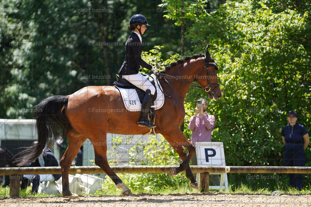 20240705-FAH03982 | Turnierbilder von Grafing, Reitsportbilder, Turnierfotos, Turnierfotografen Bayern, Pferdefotograf, Fotoagentur Herrmann