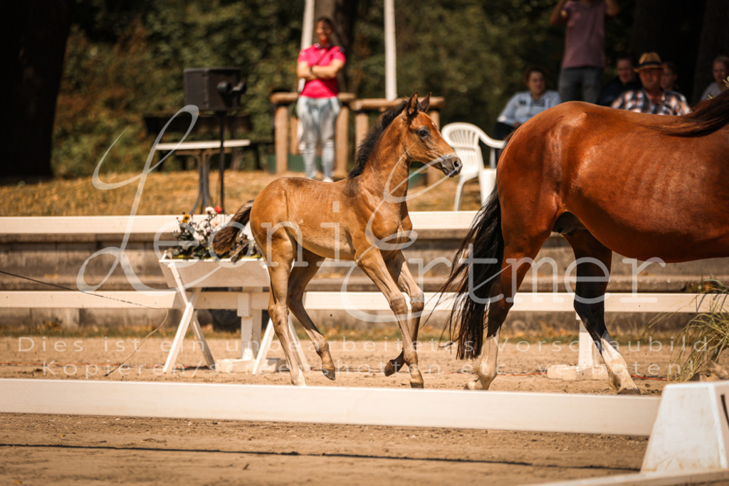 03.DoAB00001 | Leoni Ertmer Photography - Realisiert mit Pictrs.com