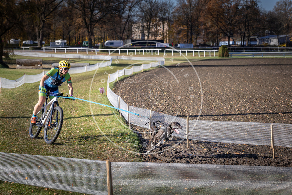 CaniXpix_DV3A4513 | Hundefotografie, Tierfotograf, Pfotenfotografie, Fotoshooting Hund, Hunde Portrait, Hundesport, Hundeportraits, Heideshooting, Hunde, Sportfotograf, Hundefotograf, Turnierhundsport, THS,  - Realisiert mit Pictrs.com