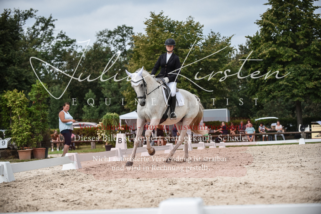 DSC_8507 | Pferde- und Turnierfotografie in Westsachsen. Pferdeportraits, Auftragszeichnungen und intuitive Kunst.