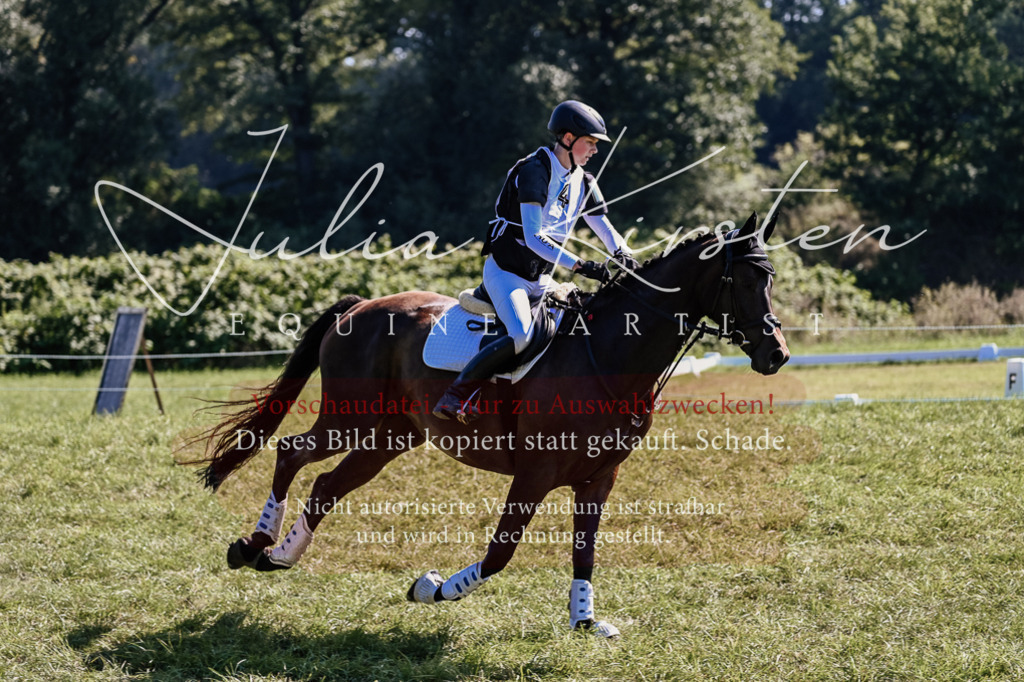 DSC_1478 | Pferde- und Turnierfotografie in Westsachsen. Pferdeportraits, Auftragszeichnungen und intuitive Kunst.