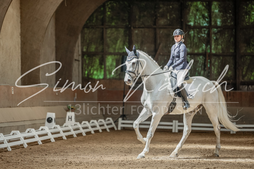 20250621-_3LI6852 | Tierfotografie Pferde, Hunde, Katzen, Haustiere.
Turnierfotografie Reitturniere, Reiten, Springreiten, Dressur in Hanau, dem Main-Kinzig-Kreis und dem Rhein-Main- Gebiet um Frankfurt