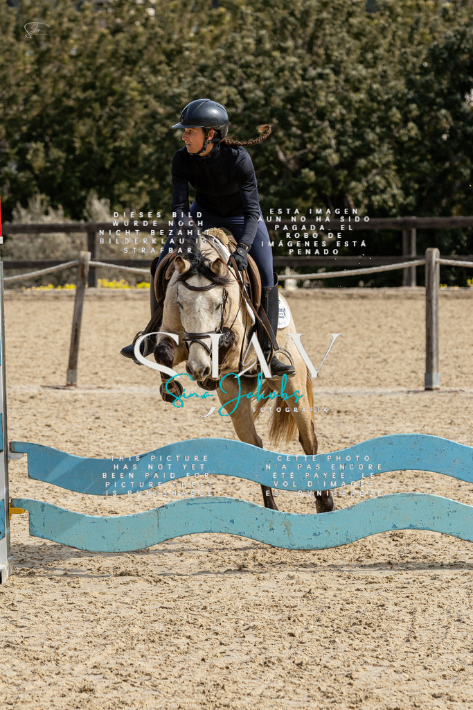 IMG_3312 | s-jay-photography - Realisiert mit Pictrs.com