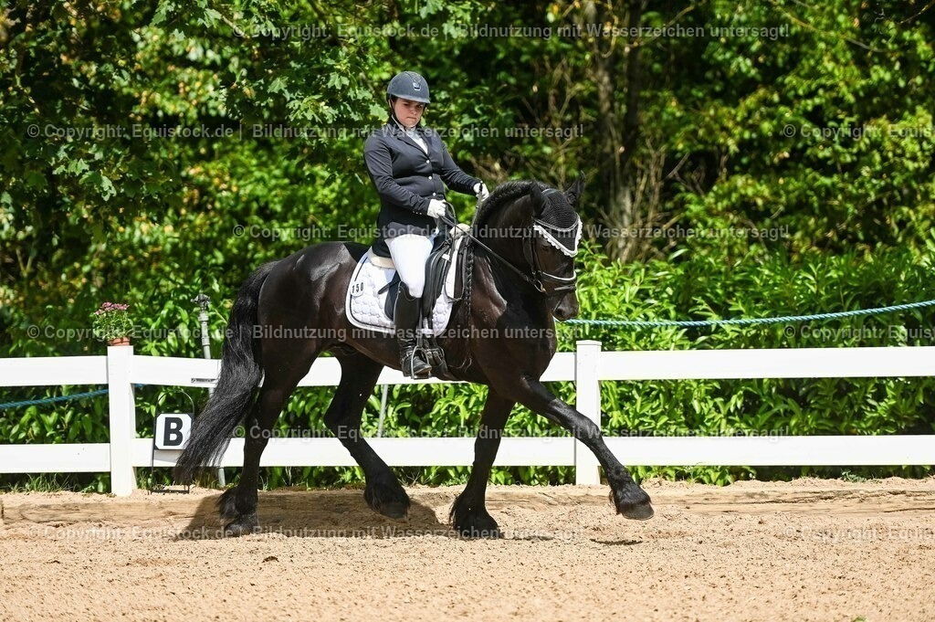 20230715_02_Dressurreiterprüfung Kl.L_0170 | equistock