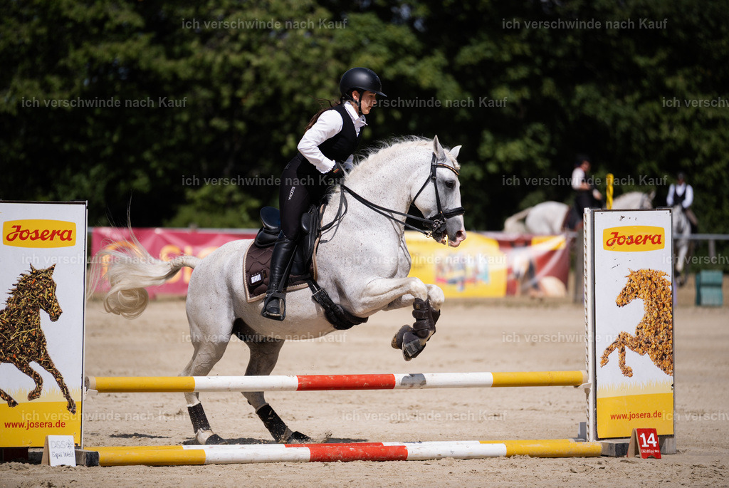 WM_SP_133_Stoibphotography_SO10354 | working equitationturnier fotograf videograf stoibphotography marixx film working equitation deutschland reitsport turnierfotografie eventfotografie equestrian events