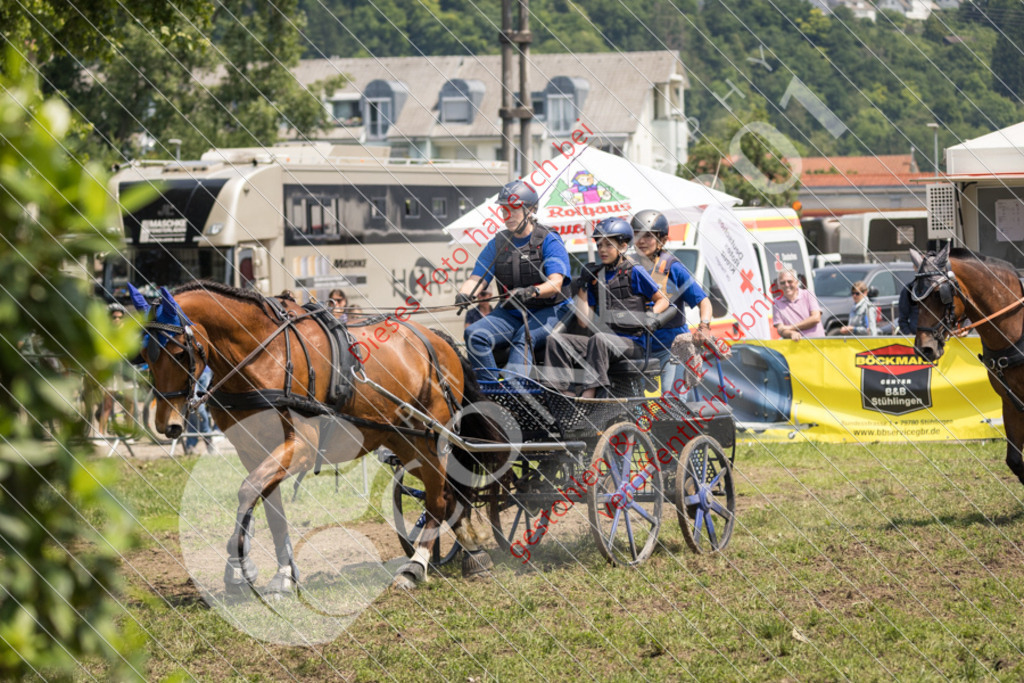 IMG_8617 | Sport-, Event- und Tierfotos in Profiqualität. Einfach auswählen, bestellen und herunterladen. Dein Moment – perfekt festgehalten.