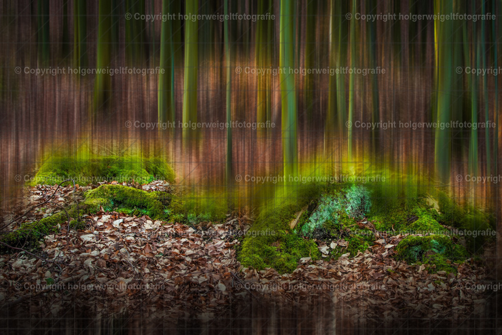 Verschwommenes Laubgeflüster | Kaufen sie online außergewöhnliche Fotografien auf Leinwand Acrylglas Fotoprint Aludibond von holgerweigeltfotografie - Realized with Pictrs.com