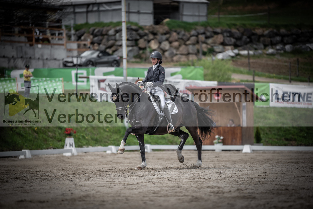 DSC_2736 | equestrian-live-com