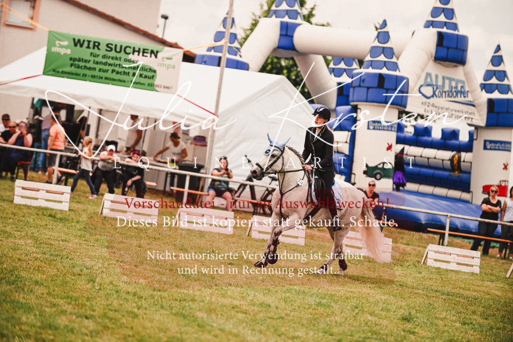 DSC_6962 | Pferde- und Turnierfotografie in Westsachsen. Pferdeportraits, Auftragszeichnungen und intuitive Kunst.