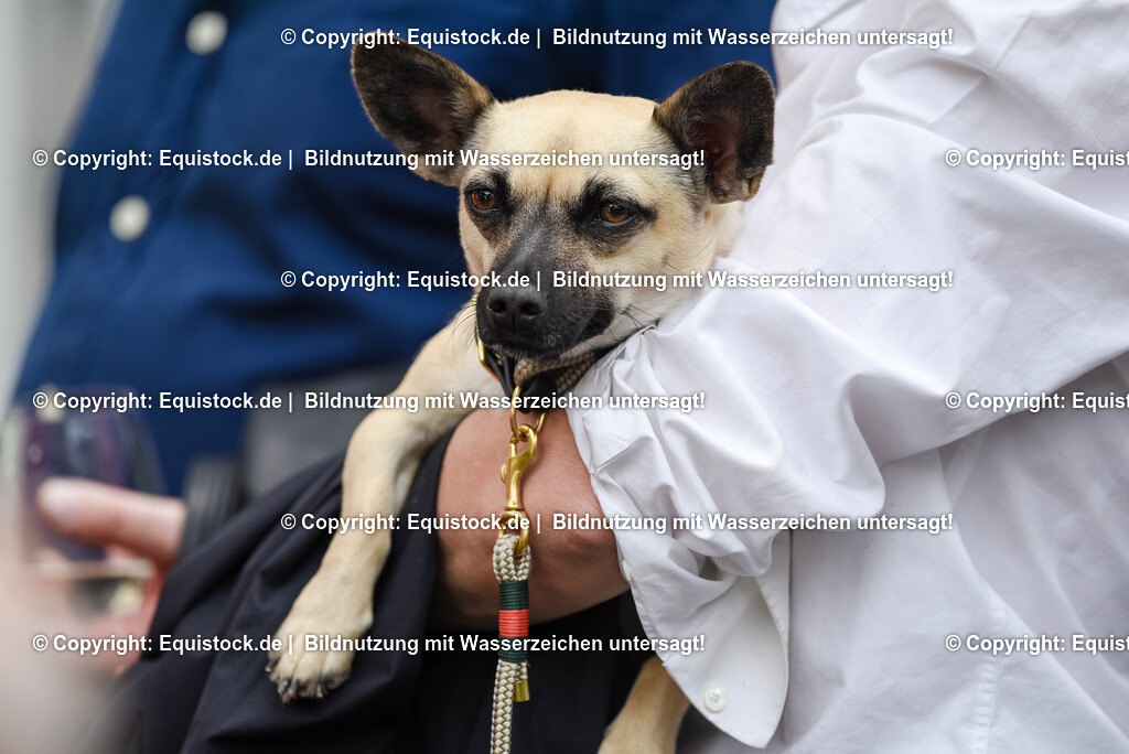 TS_20250607_Impressionen_0123 | Foto: Thomas Hartig