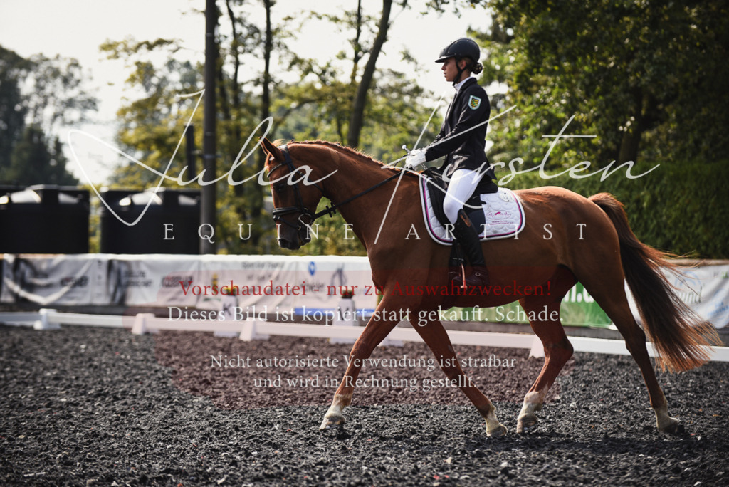 DSC_3594 | Pferde- und Turnierfotografie in Westsachsen. Pferdeportraits, Auftragszeichnungen und intuitive Kunst.