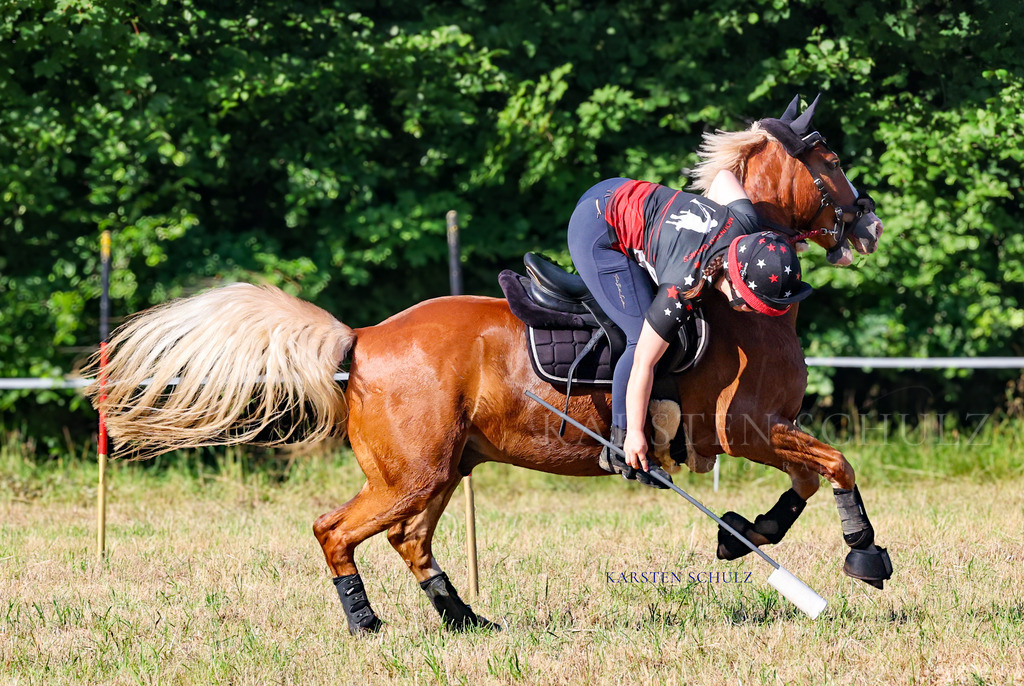 1B3A8656 | Reitsport Reiten