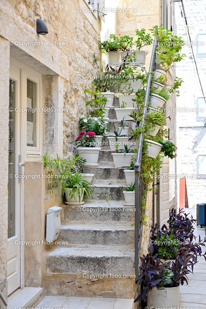 Kroatien_ Split_ 21.07.2025-66 | 21.07.2025, Kroatien, HRV, Split, im Bild Themenbild, Stadtansichten, Treppe, Stiege, Blumen, Touristen, Tourismus, Feature, SymbolbildSplit zweitgroesste Stadt Kroatiens. Die Stadt ist Verwaltungssitz der Gespanschaft Split-Dalmatien 