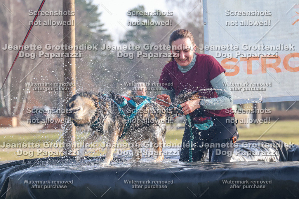 Dog Paparazzi - Strongdog North Mrz26-44 | Dog Paparazzi Jeanette Grottendiek Fotografie & Videografie - Realisiert mit Pictrs.com