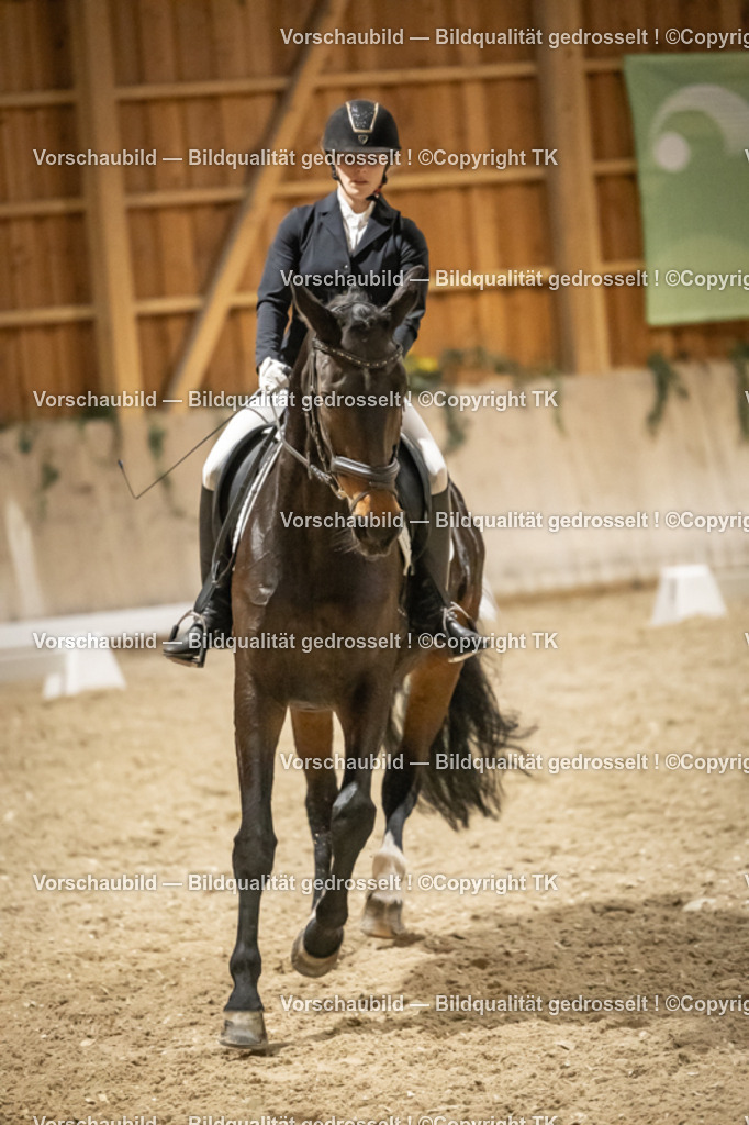 _D5A0552 | Emotionale Pferde- & People-Fotografie rund um Heidelberg, Leimen & Umgebung. Natürliche Fotos von Pferd, Mensch & Familie. Jetzt Termin sichern!