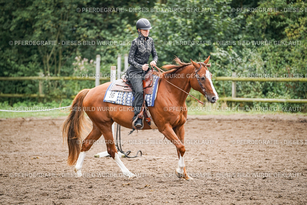 DSC02426 | Pferdegrafie