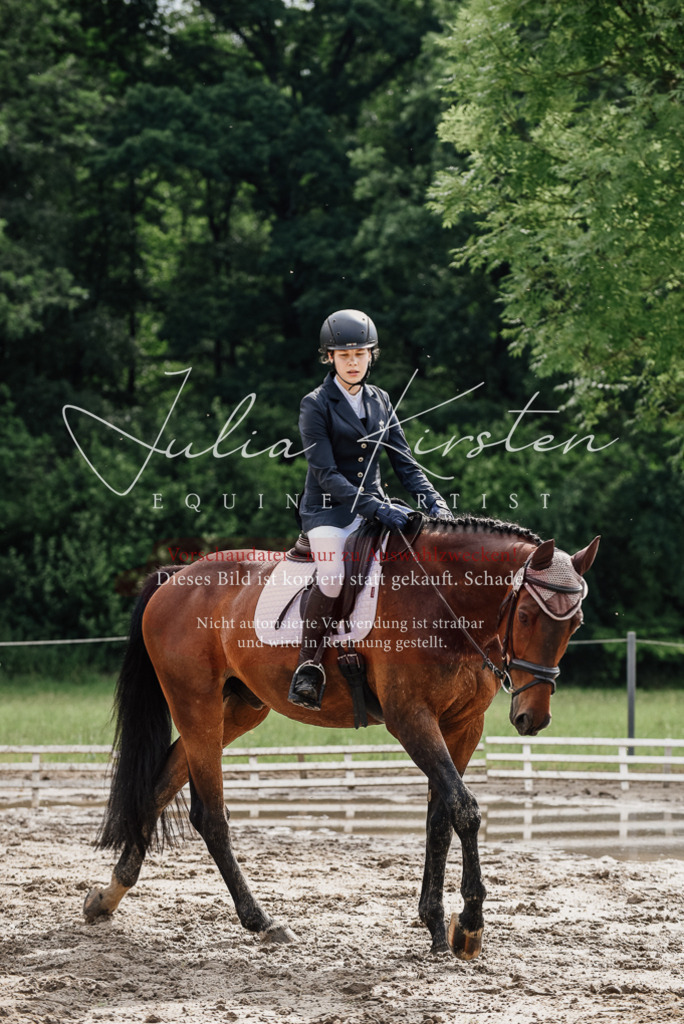 DSC_9644 | Pferde- und Turnierfotografie in Westsachsen. Pferdeportraits, Auftragszeichnungen und intuitive Kunst.