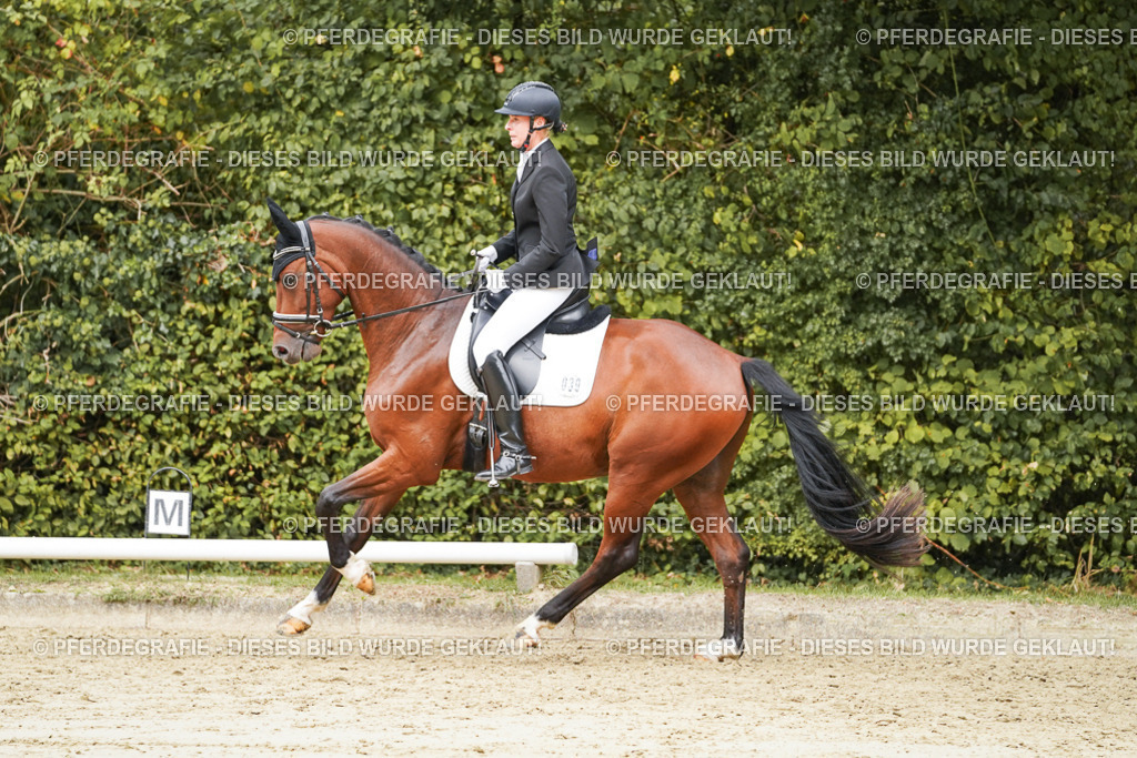 DSC09780 | Pferdegrafie