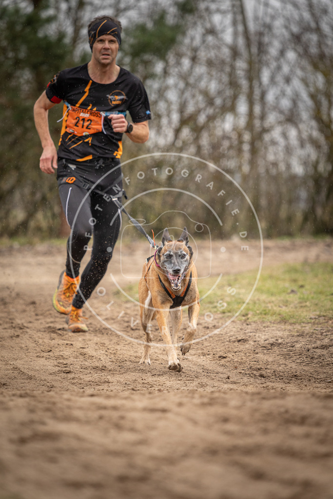 Pfotenfotografie_DV3A0423 | Hundefotografie, Tierfotograf, Pfotenfotografie, Fotoshooting Hund, Hunde Portrait, Hundesport, Hundeportraits, Heideshooting, Hunde, Sportfotograf, Hundefotograf, Turnierhundsport, THS,  - Realisiert mit Pictrs.com