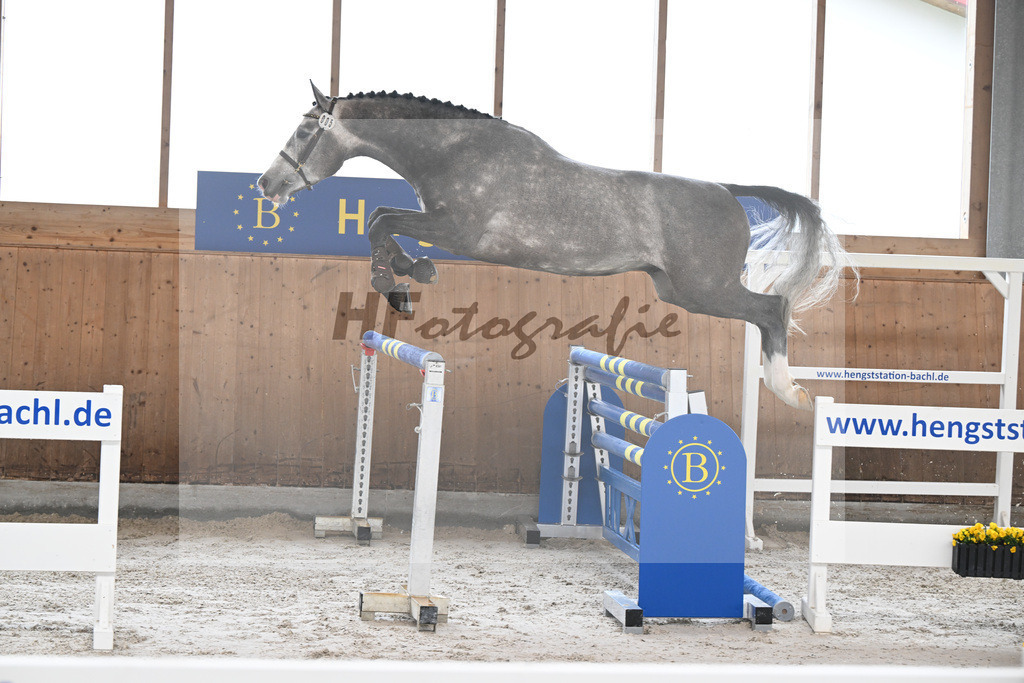 Kat-Nr. 5 Ziroccos Blanc v. Zirocco Blue_Engelbrecht_14260439 | hf-fotografie - Realizzato con Pictrs.com