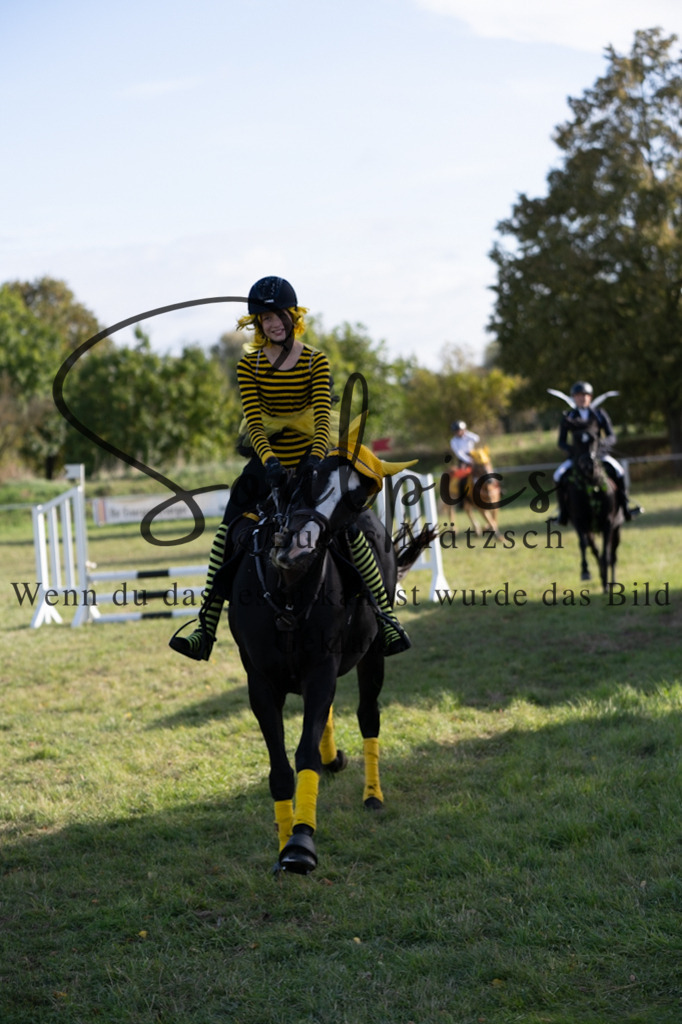 A7V06622 | Pferdefotograf