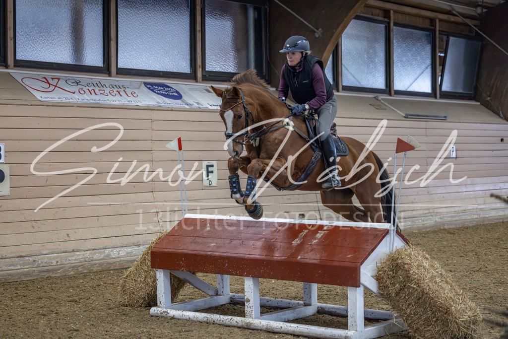 20260221-_3LI8796 | Tierfotografie Pferde, Hunde, Katzen, Haustiere.
Turnierfotografie Reitturniere, Reiten, Springreiten, Dressur in Hanau, dem Main-Kinzig-Kreis und dem Rhein-Main- Gebiet um Frankfurt