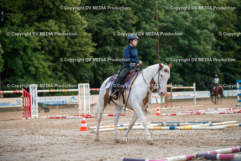 ZS3_9309 | dv-media-shop - Realisiert mit Pictrs.com