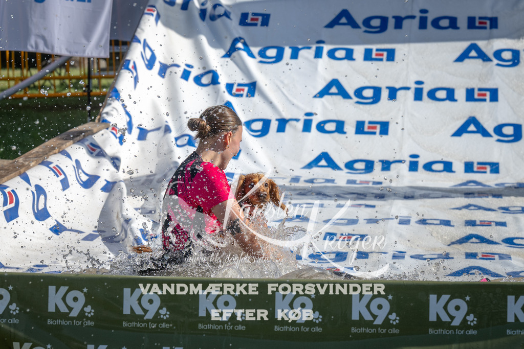 1016_ZZ98260 | kk-dogfotos