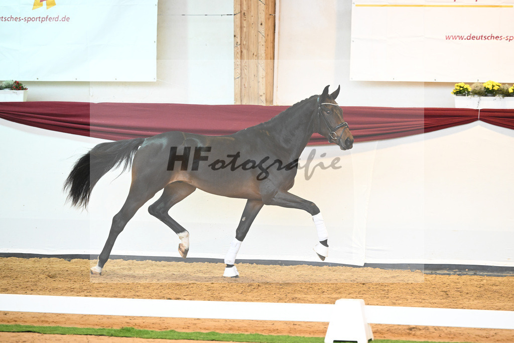 Kat-Nr. 76 v. Zackerey_Pfitzer_66221976 | hf-fotografie - Realisiert mit Pictrs.com