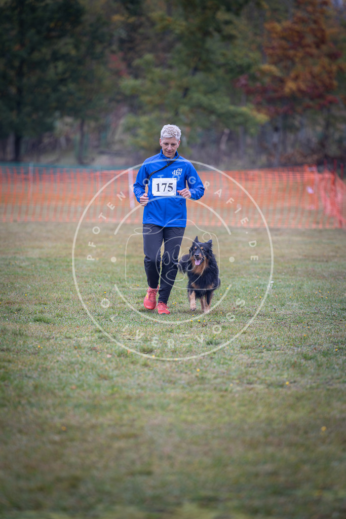 Pfotenfotografie_DV3A9303 | Hundefotografie, Tierfotograf, Pfotenfotografie, Fotoshooting Hund, Hunde Portrait, Hundesport, Hundeportraits, Heideshooting, Hunde, Sportfotograf, Hundefotograf, Turnierhundsport, THS,  - Realisiert mit Pictrs.com