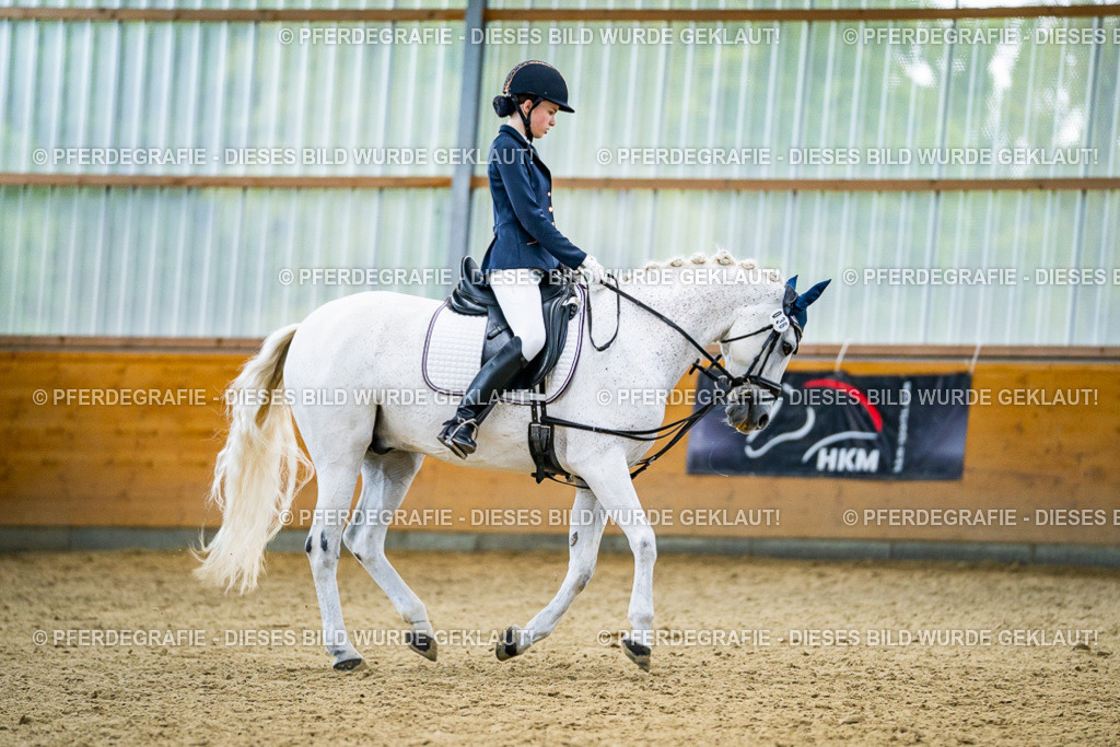 DSC04878 | Pferdegrafie