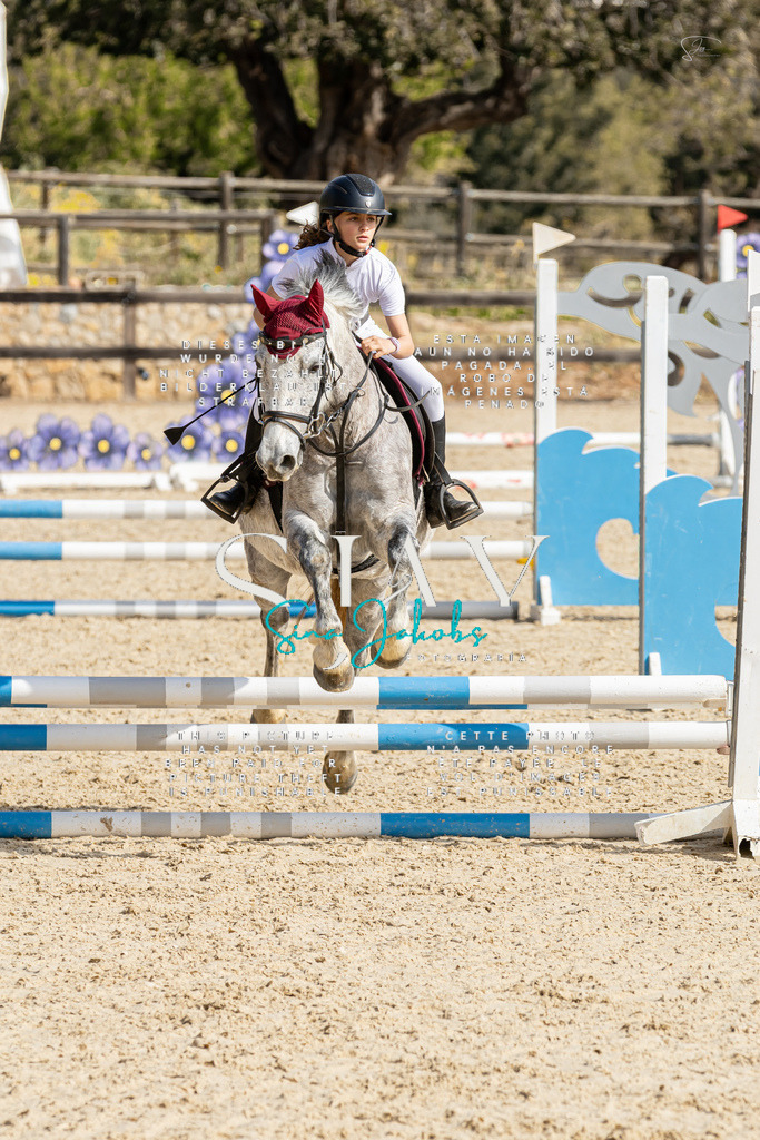 IMG_4341 | s-jay-photography - Realisiert mit Pictrs.com