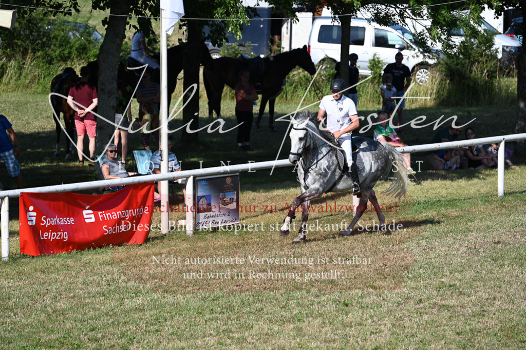 DSC_2572 | Pferde- und Turnierfotografie in Westsachsen. Pferdeportraits, Auftragszeichnungen und intuitive Kunst.