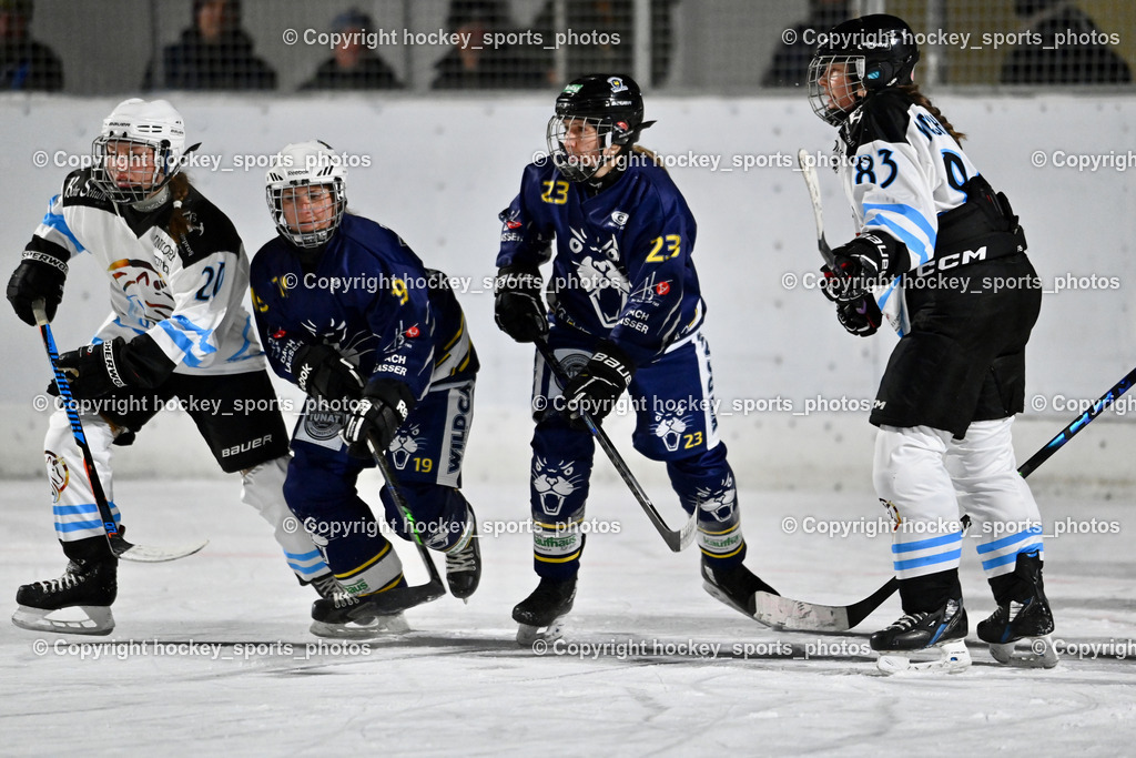 Wildcats Paternion vs. Unicorns Steindorf | #20 Raunegger Verena UNICORNS STEINDORF, #19 Knes Julia WILDCATS PATERNION, #23 Stuppnig Iris WILDCATS PATERNION, #83 Vaschauner Sabrina UNICORNS STEINDORF, Wildcats Paternion vs. Unicorns Steindorf, Wildcats Paternion vs. Unicorns Steindorf am 02.01.2026 in Paternion (Eislaufplatz Paternion), Austria, (Photo by Bernd Stefan)