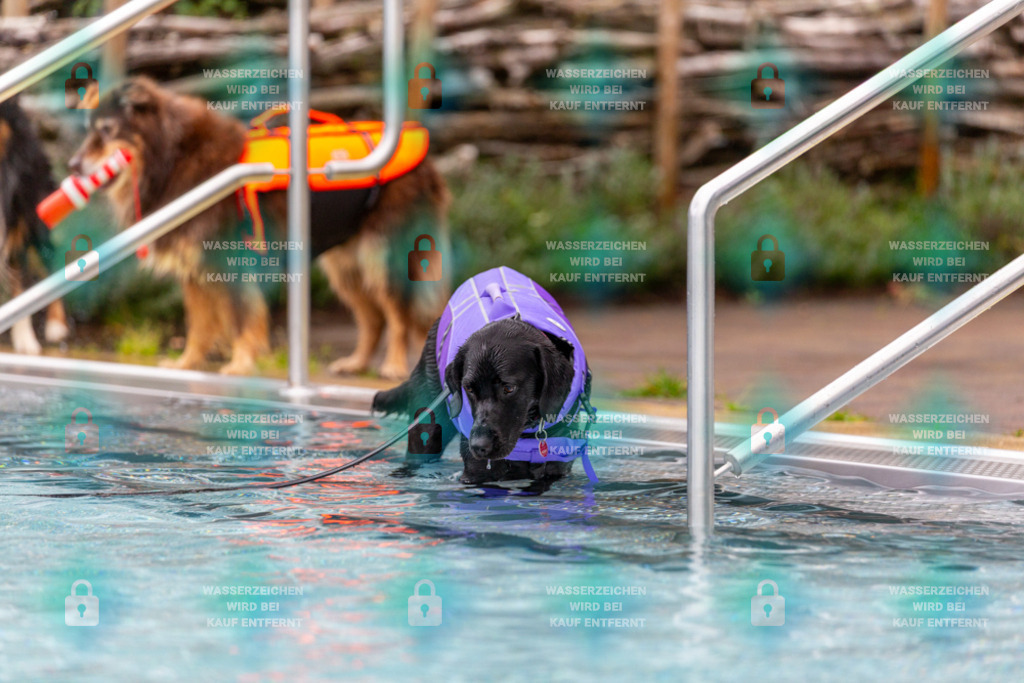 _HP_6272_1000o | HetPix, HetPix Fotodesign, Fotografie, Fotodesign, Webshop, Sportfotografie, Portraitfotografie, Onlineshop, Sportfotografie, Polch, Motorsportfotografie, Eventfotografie