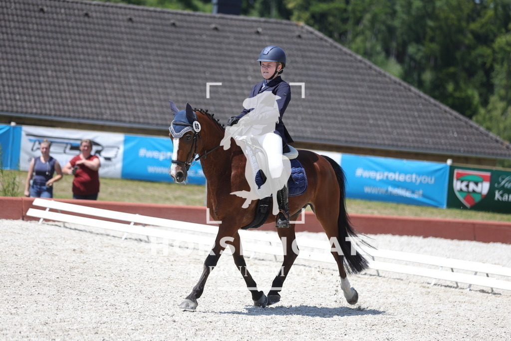 0P6A6347 | Willkommen bei Brunnmayr - Design & Fotografie – Ihrem Spezialisten für Reitturniere und Pferdeveranstaltungen in Oberösterreich, Salzburg und Bayern! Seit über 17 Jahren sind wir leidenschaftlich dabei.