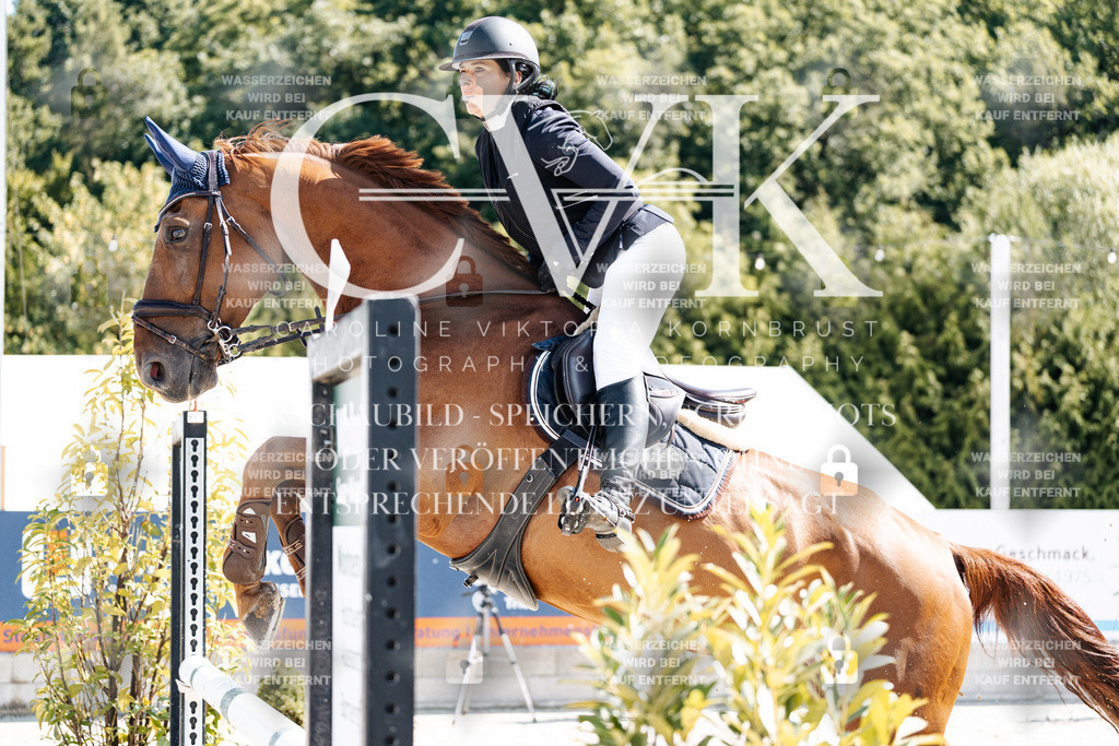 CK908408 | Turnierfotografie Pferdefotografie Trier Rheinland-Pfalz Pferdesport Reitsport Tierfotografie Sportfotografie Pferdevideo Pferdevideografie Equestrianvideography equestrianphotography  - Realisiert mit Pictrs.com