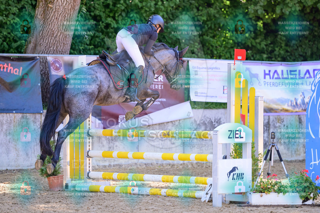 30082026-Giesenbach-Prfg23-0286 | Fokus Hufschlag Fotografie - Realisiert mit Pictrs.com