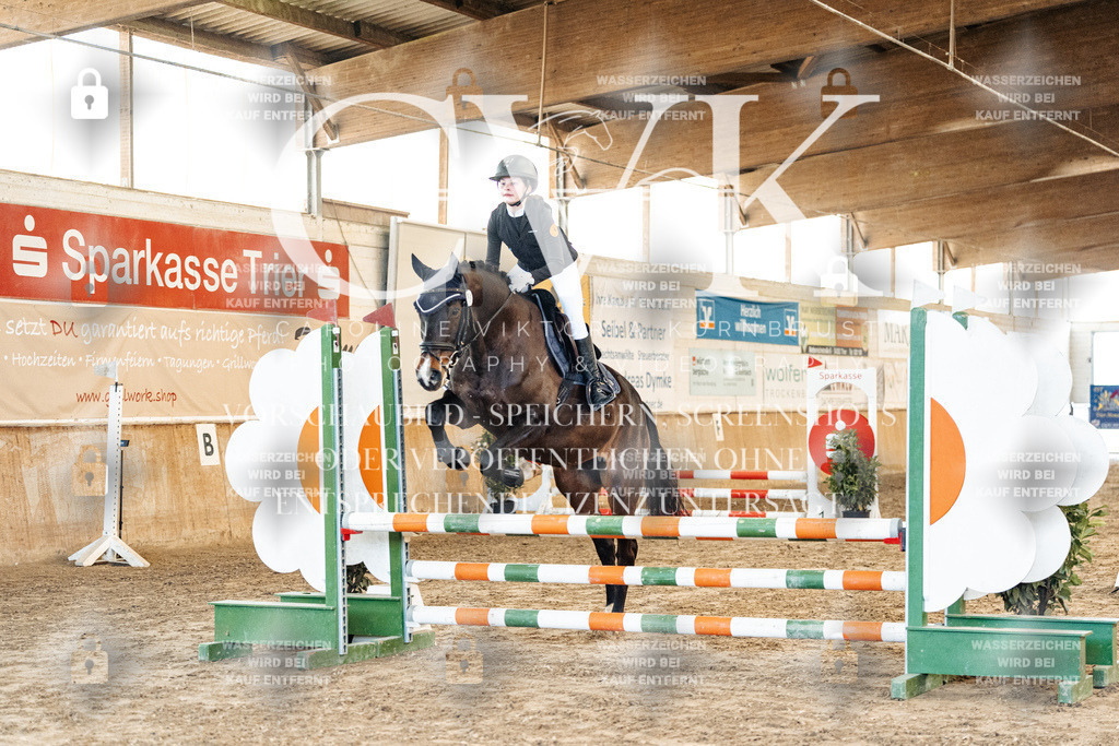 CK903795 | Turnierfotografie Pferdefotografie Trier Rheinland-Pfalz Pferdesport Reitsport Tierfotografie Sportfotografie Pferdevideo Pferdevideografie Equestrianvideography equestrianphotography  - Realisiert mit Pictrs.com