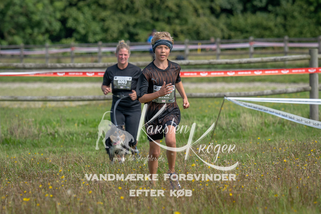 1155_ZZ90382 | kk-dogfotos