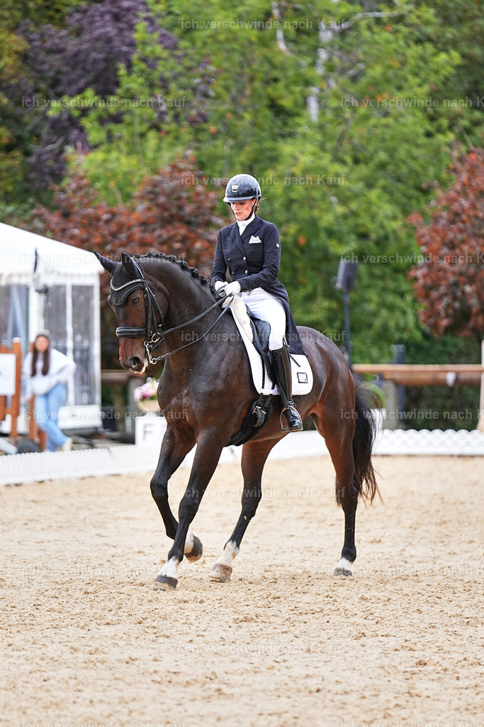6-113-AMATUER-DRESSUR S_  -Marixx-3752 | working equitationturnier fotograf videograf stoibphotography marixx film working equitation deutschland reitsport turnierfotografie eventfotografie equestrian events