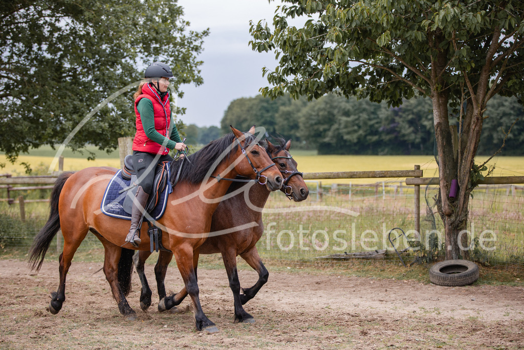 846A0022 | fotosleben - Realisiert mit Pictrs.com