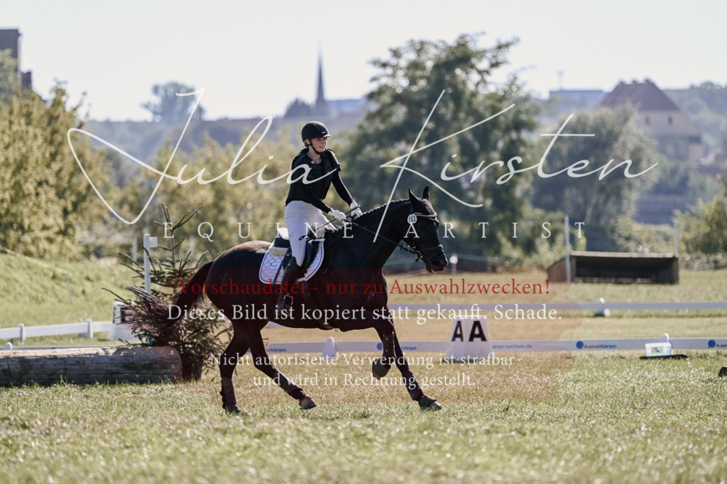 DSC_3491 | Pferde- und Turnierfotografie in Westsachsen. Pferdeportraits, Auftragszeichnungen und intuitive Kunst.