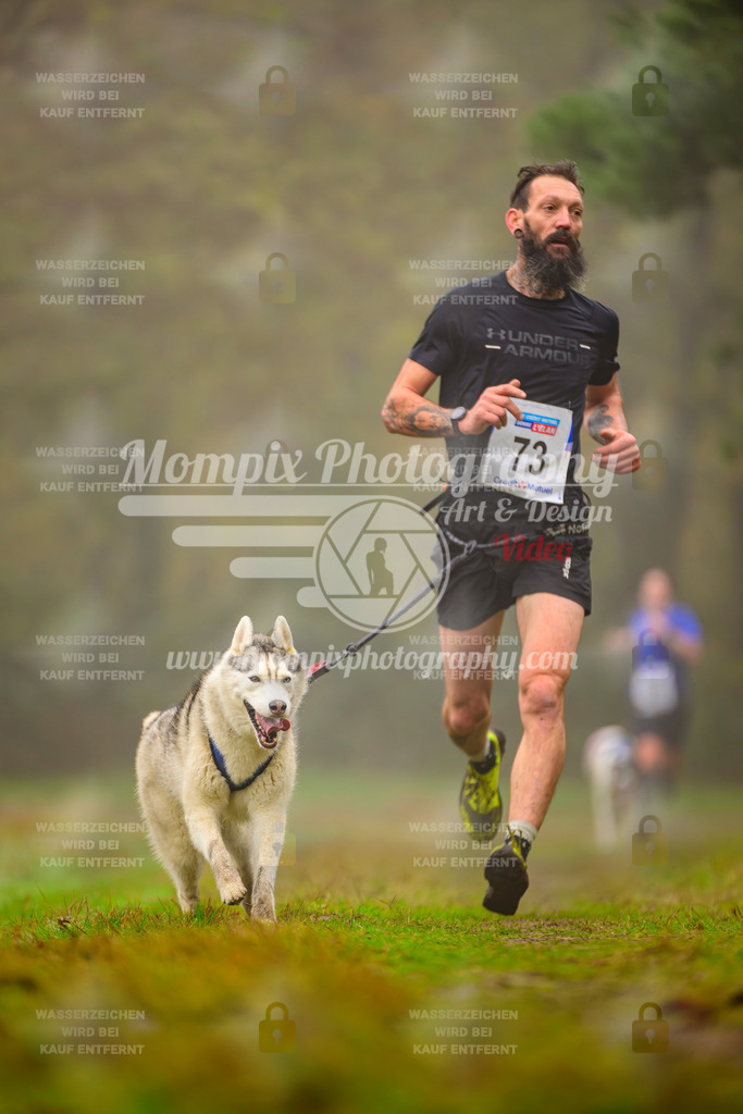 MompixPhotography_Bischwiller2025_Canicross-53 | mompixphotography