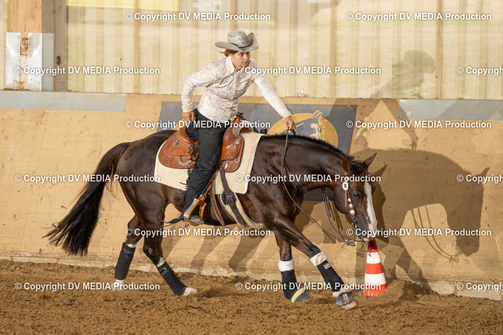 LAU01548 | dv-media-shop - Realisiert mit Pictrs.com