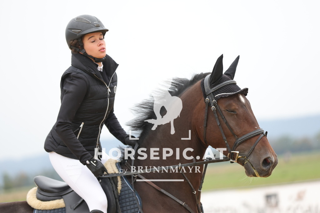 0P6A3131 | Willkommen bei Brunnmayr - Design & Fotografie – Ihrem Spezialisten für Reitturniere und Pferdeveranstaltungen in Oberösterreich, Salzburg und Bayern! Seit über 17 Jahren sind wir leidenschaftlich dabei.