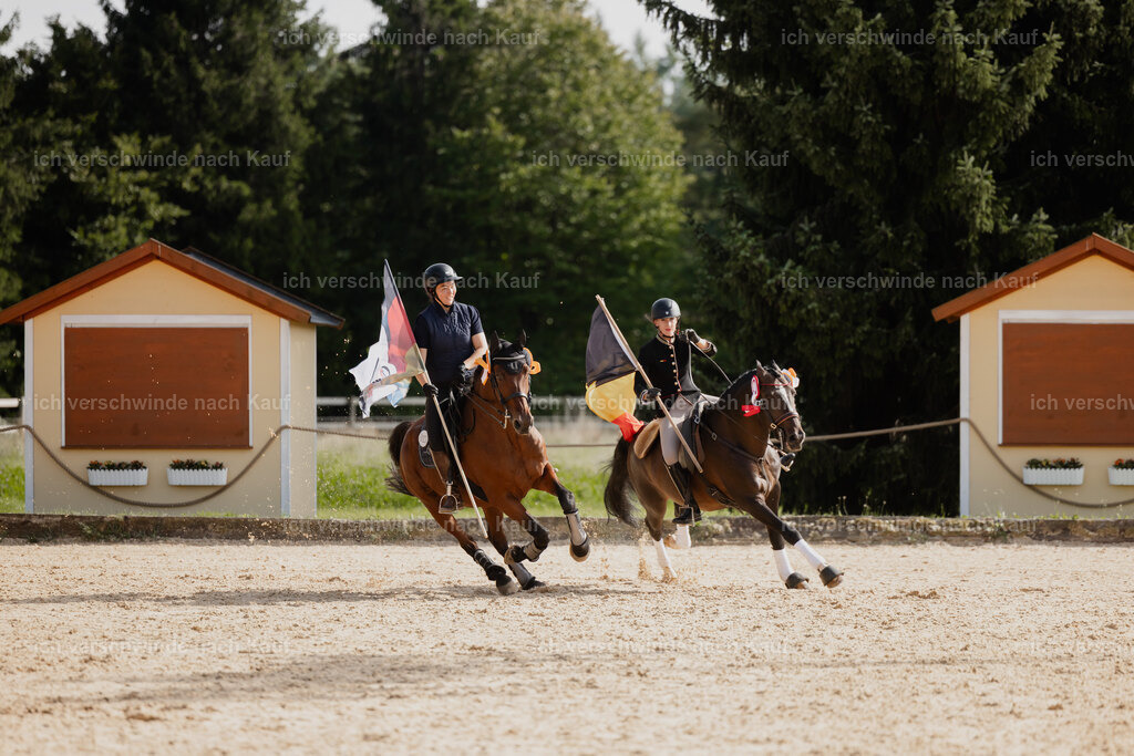 Nadine22_FHC2025-175 | working equitationturnier fotograf videograf stoibphotography marixx film working equitation deutschland reitsport turnierfotografie eventfotografie equestrian events